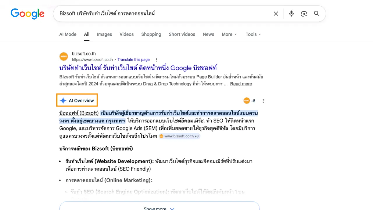 What is an AI Overview?